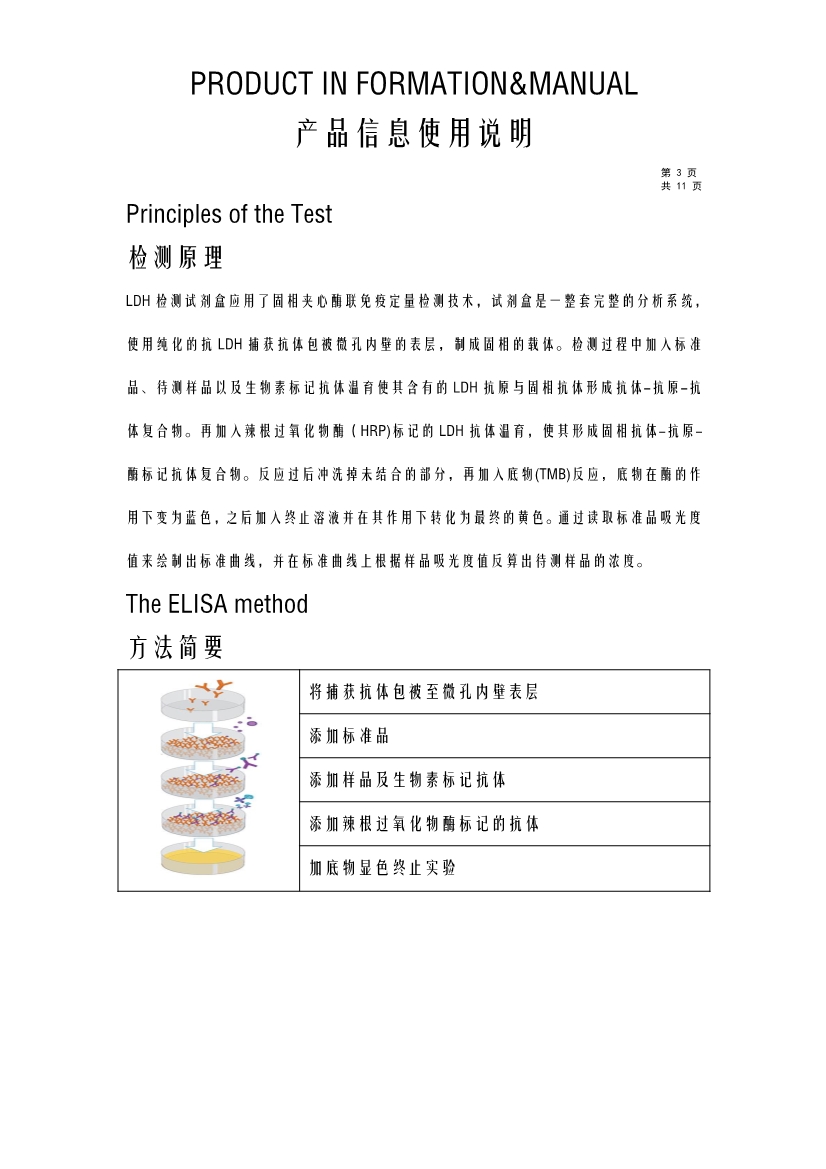 大鼠乳酸脱氢酶 天津安诺瑞康生物技术有限公司